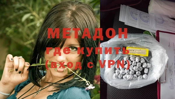 ПСИЛОЦИБИНОВЫЕ ГРИБЫ Новозыбков