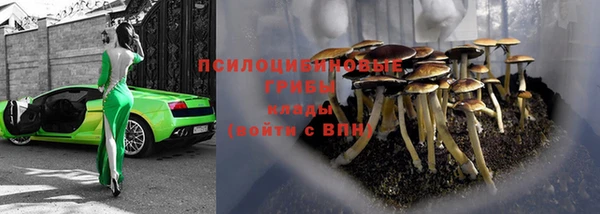 a pvp Няндома